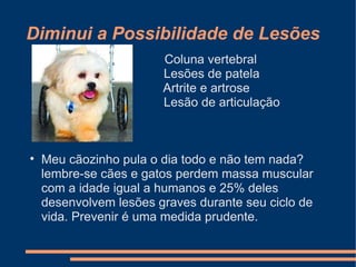 Diminui a Possibilidade de Lesões
Coluna vertebral
Lesões de patela
Artrite e artrose
Lesão de articulação



Meu cãozinho pula o dia todo e não tem nada?
lembre-se cães e gatos perdem massa muscular
com a idade igual a humanos e 25% deles
desenvolvem lesões graves durante seu ciclo de
vida. Prevenir é uma medida prudente.

 