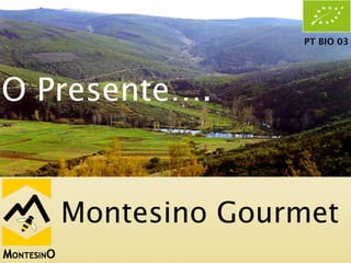 PT BIO 03




O Presente….


   Montesino Gourmet
 
