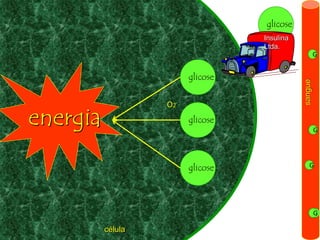 Copyright © RHVIDA S/C Ltda.
energia glicose
glicose
glicose
O2
sangue
G
G
G
G
célula
glicose
Insulina
Ltda.
 
