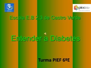 Turma PIEF 6ºE
Escola E.B 2,3 de Castro Verde
Entender a Diabetes
 