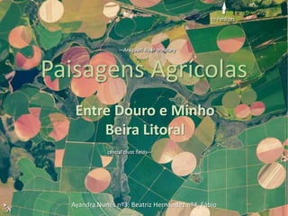 Paisagens Agrícolas
   Entre Douro e Minho
       Beira Litoral



  Ayandra Nunes nº3; Beatriz Hernandez nº4, Fábio
 