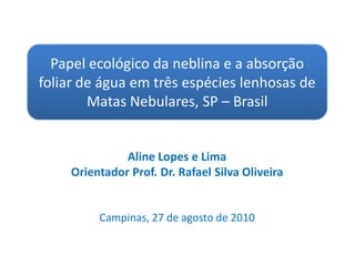 Aline Lopes e Lima
Orientador Prof. Dr. Rafael Silva Oliveira
Campinas, 27 de agosto de 2010
Papel ecológico da neblina e a absorção
foliar de água em três espécies lenhosas de
Matas Nebulares, SP – Brasil
 