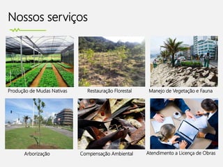 Nossos serviços
Produção de Mudas Nativas Restauração Florestal Manejo de Vegetação e Fauna
Arborização Compensação Ambiental Atendimento a Licença de Obras
 