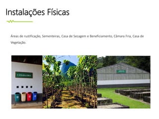 Instalações Físicas
Áreas de rustificação, Sementeiras, Casa de Secagem e Beneficiamento, Câmara Fria, Casa de
Vegetação.
 