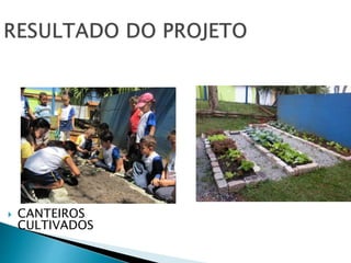  CANTEIROS 
CULTIVADOS 
 