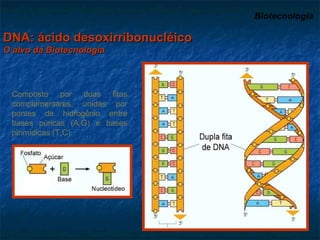 Biotecnologia   Composto por duas fitas complementares, unidas por pontes de hidrogênio entre bases púricas (A,G) e bases pirimídicas (T,C). DNA: ácido desoxirribonucléico O alvo da Biotecnologia 