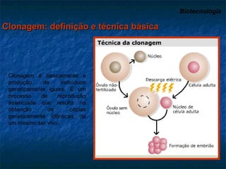 Biotecnologia   Clonagem: definição e técnica básica Clonagem é basicamente a produção de indivíduos geneticamente iguais. É um processo de reprodução assexuada que resulta na obtenção de cópias geneticamente idênticas de um mesmo ser vivo. 