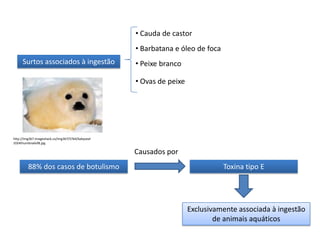 ApresentaçãO 2art. Hsa   Final