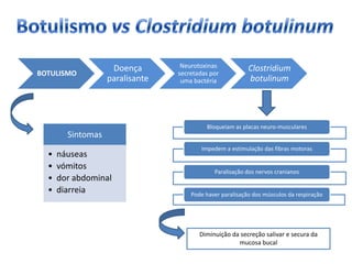 ApresentaçãO 2art. Hsa   Final