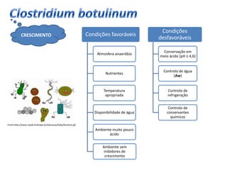 ApresentaçãO 2art. Hsa   Final