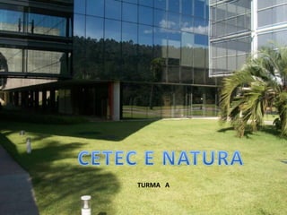 por user CETEC E NATURA TURMA   A 