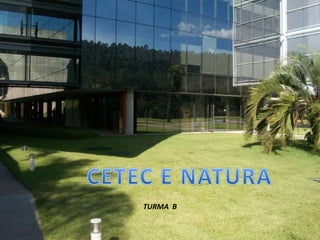 por user CETEC E NATURA TURMA  B 