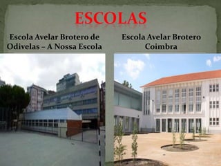 Escola Avelar Brotero de
Odivelas – A Nossa Escola
Escola Avelar Brotero
Coimbra
 