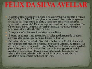  Brotero, embora hesitante devido à falta de gravuras, prepara a edição
da "FLORA LUSITÂNIA, seu plantarum quae in Lusitania vel sponte
crescunt, vel frequentins coluntur, ex fiorum praesertim sexubus
systematice ssynopsis". Escrita em primoroso Latim, a língua científica
e internacional do tempo, a obra simplificava e modificava nalguns
pontos o sistema classificativo de Lineu.
 As repercussões internacionais foram imediatas.
 Brotero que antes já era membro da Sociedade Lineana de Londres
entrou então para as grandes Academias da Europa.
 Foi admitido na Sociedade Filomática de Paris, na Real Sociedade de
Horticultura e na Medico-Botânica, ambas em Londres, na Fitografica
de Lunden, na Suécia, na de História Natural de Rostock, na Sociedade
para o Progresso das Ciências Naturais de Marburgo, na Imperial
Academia Leopodino – Carolina das Ciências de Bona, todas na
Alemanha, na Academia de Turim – Itália e como era óbvio, na
Academia das Ciências de Lisboa em 1810.
 