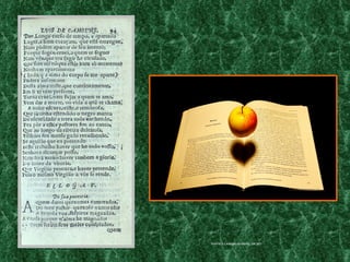 fonte: o.CamInho.InvIsIvel.zIp.net
 