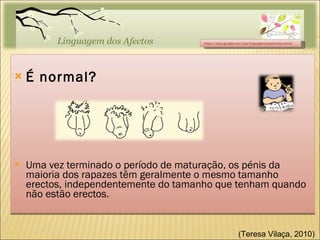 É normal? Uma vez terminado o período de maturação, os pénis da maioria dos rapazes têm geralmente o mesmo tamanho erectos, independentemente do tamanho que tenham quando não estão erectos. https://sites.google.com/site/linguagemdosafectos/home (Teresa Vilaça, 2010)  