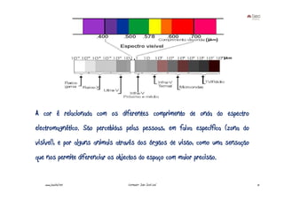A cor é relacionada com os diferentes comprimento de onda do espectro
electromagnético. São percebidas pelas pessoas, em faixa específica (zona do
visível), e por alguns animais através dos órgãos de visão, como uma sensação
que nos permite diferenciar os objectos do espaço com maior precisão.


   www.joaoleal.net                Formador: João José Leal                     15
 