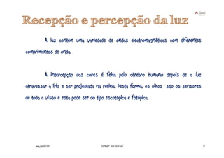 Recepção e percepção da luz
               A luz contem uma variedade de ondas electromagnéticas com diferentes
comprimentos de onda.


               A intercepção das cores é feita pelo cérebro humano depois de a luz
atravessar a íris e ser projectada na retina. Desta forma, os olhos são os sensores
de toda a visão e esta pode ser do tipo escotópica e fotópica.




     www.joaoleal.net                  Formador: João José Leal                       17
 