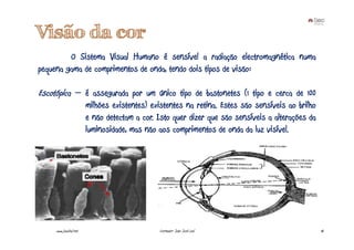Visão da cor
         O Sistema Visual Humano é sensível a radiação electromagnética numa
pequena gama de comprimentos de onda, tendo dois tipos de visão:

Escotópica – é assegurada por um único tipo de bastonetes (1 tipo e cerca de 100
                        milhões existentes) existentes na retina. Estes são sensíveis ao brilho
                        e não detectam a cor. Isto quer dizer que são sensíveis a alterações da
                        luminosidade, mas não aos comprimentos de onda da luz visível.




     www.joaoleal.net                         Formador: João José Leal                            18
 