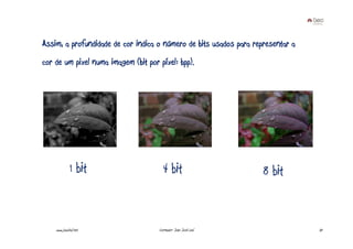 Assim, a profundidade de cor indica o número de bits usados para representar a
cor de um pixel numa imagem (bit por píxel: bpp).




              1 bit                    4 bit                        8 bit


    www.joaoleal.net                 Formador: João José Leal                    37
 