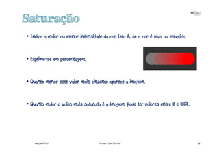 Saturação
• Indica a maior ou menor intensidade da cor, isto é, se a cor é viva ou esbatida.


• Exprime-se em percentagem.


• Quanto menor este valor, mais cinzento aparece a imagem.


• Quanto maior o valor, mais saturada é a imagem. Pode ter valores entre 0 e 100%.




    www.joaoleal.net                 Formador: João José Leal                        45
 
