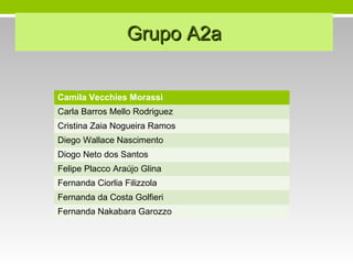 Grupo A2aGrupo A2a
Camila Vecchies Morassi
Carla Barros Mello Rodriguez
Cristina Zaia Nogueira Ramos
Diego Wallace Nascimento
Diogo Neto dos Santos
Felipe Placco Araújo Glina
Fernanda Ciorlia Filizzola
Fernanda da Costa Golfieri
Fernanda Nakabara Garozzo
 