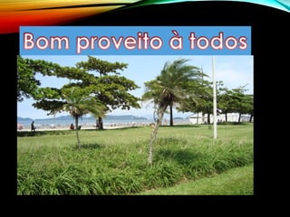 Apresentação da Disciplina