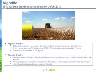 Algodão
18% da área plantada já colhida em 30/06/2012




    Algodão 1ª safra:
        Colheita teve início em meados de maio na Bahia e final de junho do Mato Grosso
        8.161 ha colhidos até 30 de junho de 2012 (25% da área total de algodão 1ª safra)
        Produtividade média de 3.351 kg/ha
    Algodão 2ª safra:
        Fase de desenvolvimento da cultura (abertura dos capulhos do terço inferior e enchimento das
          maças)
        Alongamento das chuvas no Mato Grosso favoreceu a formação e o enchimento das maças
        Início da colheita previsto para meados de julho

                                                                                                        9
 