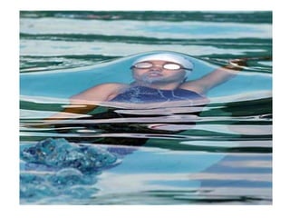 Fotografias Carlos Vidigal