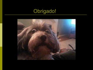 Obrigado! 