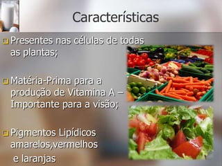 Características
 Presentesnas células de todas
 as plantas;

 Matéria-Prima
              para a
 produção de Vitamina A –
 Importante para a visão;

 Pigmentos  Lipídicos
 amarelos,vermelhos
  e laranjas
 