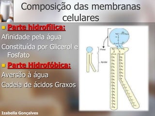 Composição das membranas
                 celulares
 Parte hidrofílica:
Afinidade pela água
Constituída por Glicerol e
  Fosfato
 Parte Hidrofóbica:
Aversão à água
Cadeia de ácidos Graxos


Izabella Gonçalves
 