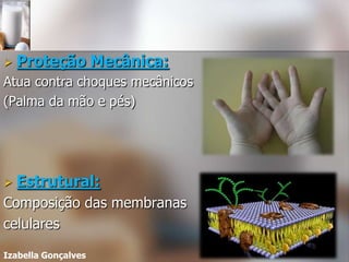    Proteção Mecânica:
Atua contra choques mecânicos
(Palma da mão e pés)




   Estrutural:
Composição das membranas
celulares

Izabella Gonçalves
 