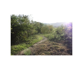 Fotos e Entrevista - Campo do Nacional