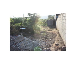 Fotos e Entrevista - Campo do Nacional