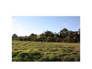 Fotos e Entrevista - Campo do Nacional