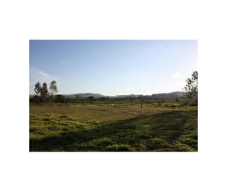 Fotos e Entrevista - Campo do Nacional