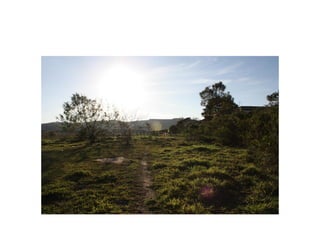 Fotos e Entrevista - Campo do Nacional