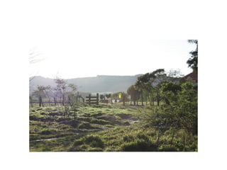 Fotos e Entrevista - Campo do Nacional