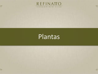 Plantas
 