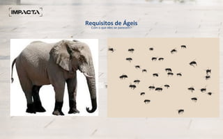 Requisitos de Ágeis
Com o que eles se parecem?
 