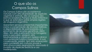 O que são os
Campos Sulinos
Os Campos Sulinos são ecossistemas
naturais com alta diversidade de espécies
vegetais e animais. São os campos dos
biomas brasileiros Pampa e Mata Atlântica
e que se estendem sobre amplas regiões
do Uruguai e Argentina.
Garantem serviços ambientais importantes,
como a conservação de recursos hídricos,
a disponibilidade de polinizadores, e o
provimento de recursos genéticos. Além
disso, têm sido a principal fonte forrageira
para a pecuária, abrigam alta
biodiversidade e oferecem beleza cênica
com potencial turístico importante. A sua
conservação, porém, tem sido ameaçada
pela conversão em culturas anuais e
silvicultura e pela degradação associada à
invasão de espécies exóticas e uso
inadequado.
 
