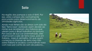 Solo
Na região dos pampas o solo é fértil. Por
isso, estes campos são normalmente
procurados para desenvolvimento de
atividades agrícolas.
Ainda mais férteis são as áreas com solo do
tipo "terra roxa", batizado assim devido ao
nome que receberam dos italianos que
vieram para o Brasil trabalhar na lavoura.
Por causa de sua cor avermelhada, eles
chamavam o solo de terra rossa, pois em
italiano, rosso é vermelho. Só que quem
começou a chamar de terra roxa não
sabia italiano e acabou confundindo rosso
com roxo por conta do som da palavra...
 