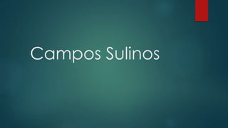 Campos Sulinos
 