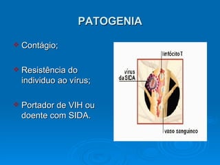 PATOGENIA Contágio; Resistência do individuo ao vírus; Portador de VIH ou doente com SIDA. 