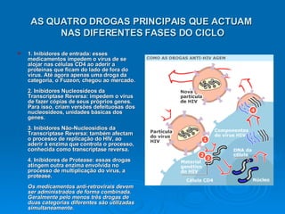 AS QUATRO DROGAS PRINCIPAIS QUE ACTUAM  NAS DIFERENTES FASES DO CICLO 1. Inibidores de entrada: esses medicamentos impedem o vírus de se alojar nas células CD4 ao aderir a proteínas que ficam do lado de fora do vírus. Até agora apenas uma droga da categoria, o Fuzeon, chegou ao mercado.  2. Inibidores Nucleosídeos da Transcriptase Reversa: impedem o vírus de fazer cópias de seus próprios genes. Para isso, criam versões defeituosas dos nucleosídeos, unidades básicas dos genes.  3. Inibidores Não-Nucleosídios da Transcriptase Reversa: também afectam o processo de replicação do HIV, ao aderir à enzima que controla o processo, conhecida como transcriptase reversa.  4. Inibidores de Protease: essas drogas atingem outra enzima envolvida no processo de multiplicação do vírus, a protease.  Os medicamentos anti-retrovirais devem ser administrados de forma combinada. Geralmente pelo menos três drogas de duas categorias diferentes são utilizadas simultaneamente.  