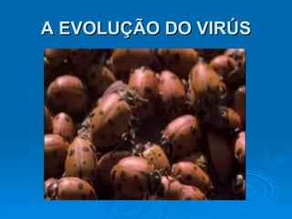 A EVOLUÇÃO DO VIRÚS 
