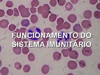 FUNCIONAMENTO DO SISTEMA IMUNITÁRIO 