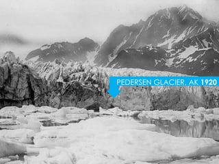 PEDERSEN GLACIER, AK 1920
 