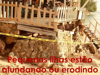 Pequenas ilhas estão
afundando ou erodindo
 